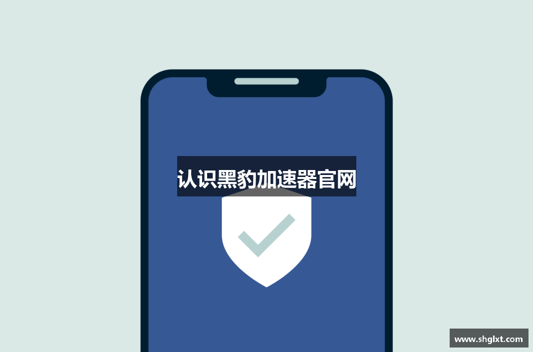 认识黑豹加速器官网