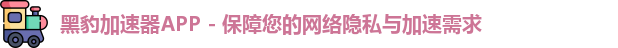 黑豹加速器官网